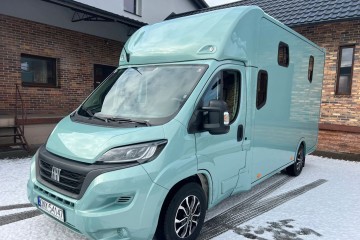 2.2 Diesel 140 KM Kamera LED Zabudowa Ogierowa Na 2 Konie